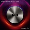 Fallen In Love - Original Mix